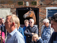 WG160922-70 - Warren Greatrex Stable Visit